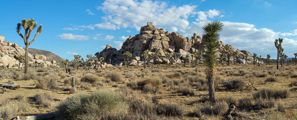 Joshua Tree National Park